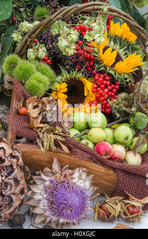 Wooden basket full of harvested fruit, flowers and berries at Harrogate autumn flower show. Harrogate, North Yorkshire, England Stock Photo