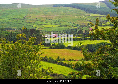 Valley in Comeragh Mountains near Hanora’s Cottage, Ballymacarbry, Ireland Stock Photo
