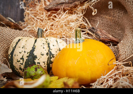 Pumpkins in front of straw and jute bag on a brown wooden table Stock Photo