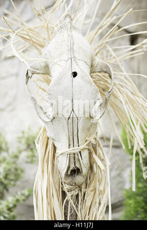 Animal Skeleton hanging on stick straw symbol Stock Photo