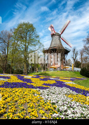 Windmill with colorful flowerbeds, Am Wall Windmill or Herdentorsmühle in the ramparts, spring, mill on the wall, Bremen Stock Photo