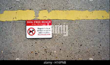 No Dogs on the beach sign showing a penalty for breaking the rules. Stock Photo