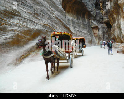 horse carriage between the rocks of Petra in Jordan
