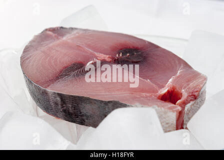 Raw red tuna steak on ice closeup. Stock Photo