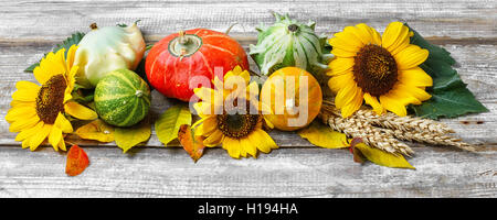 Autumn still life with squash,sunflowers and fallen autumn leaves Stock Photo