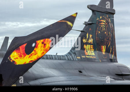 The fiery Tiger JAS-39 C Gripen Saab, Czech Air Force Stock Photo