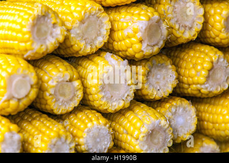 corn on the cob, corn cobs boiled Stock Photo