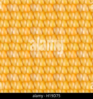 Realistic texture corn, vector illustration. Stock Vector