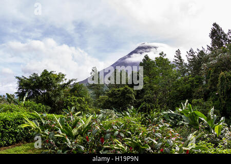 beautiful view of this cone shape volcano with perfect cone shape and clinging clouds in San Carlos, Costa Rica Stock Photo