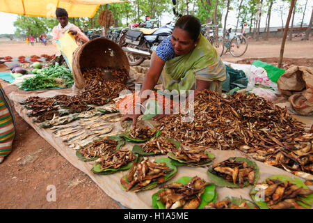 Woman selling dry fish, Dhurwa Tribal Market, Pandripani Village, Chattisgarh, India Stock Photo