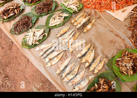 Dry Fish for sell, Dhurwa Tribal Market, Pandripani Village, Chattisgarh, India Stock Photo