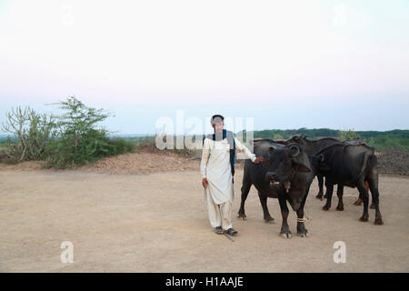 Shepherd, FAKIRANI JAT, Medi Village, Kutch, Gujarat, India Stock Photo