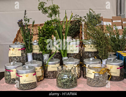 Italy Piedmont Turin 'Mother Earth -  Salone del Gusto 2016 ' - The theme of this year's edition is LOVING THE EARTH - herbs, spices, Stock Photo