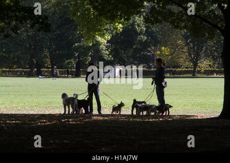 London, UK. 23rd Sep, 2016. Women walking their dogs on a warm sunny day in Regents Park Credit:  amer ghazzal/Alamy Live News Stock Photo