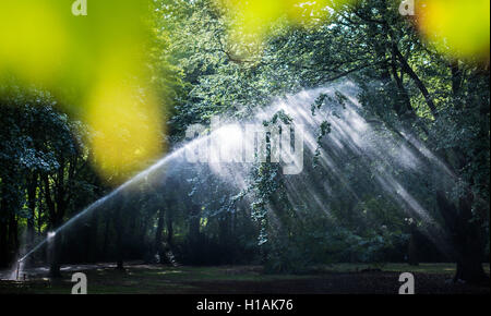 Berlin, Germany. 23rd Sep, 2016. Sunshine in the Grosser Tiergarten park in Berlin, Germany, 23 September 2016. PHOTO: SOPHIA KEMBOWSKI/dpas © dpa/Alamy Live News Stock Photo