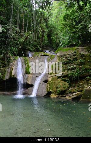 Mexico, San Luis Potosi State, Huasteca, Xilitla, Las Pozas, Edward James Gardens Stock Photo