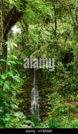 Tall waterfall among trees and shrubs in the forest. Stock Photo