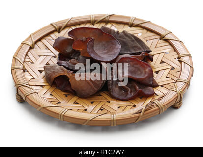 fresh wood ear mushrooms isolated on white background Stock Photo