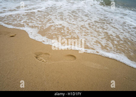 Footprint in golden sand on the shore of the sea Stock Photo