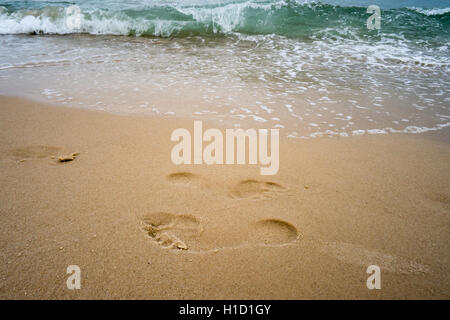 Footprint in golden sand on the shore of the sea Stock Photo