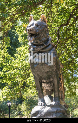 Sled Dog Statue, Balto, in Central Park NYC Stock Photo