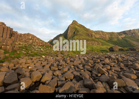 Giant's Causeway at sunset light, Bushmills, County Antrim, Northern Ireland, UK Stock Photo