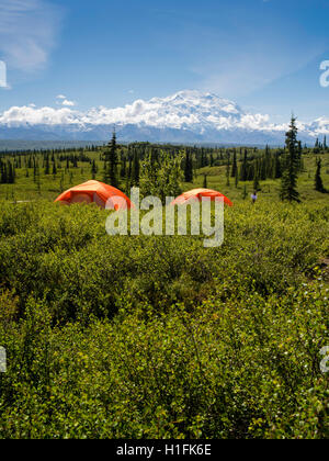 View of Denali, the Great One from the Wonder Lake Campground, Denali National Park, Alaska. Stock Photo