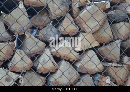 Stacked oak firewood in Pasadena, Anne Arundel County, Maryland. Stock Photo