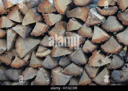 Stacked oak firewood in Pasadena, Anne Arundel County, Maryland. Stock Photo