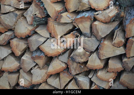 Stacked oak firewood in Pasadena, Anne Arundel County, Maryland. Stock Photo