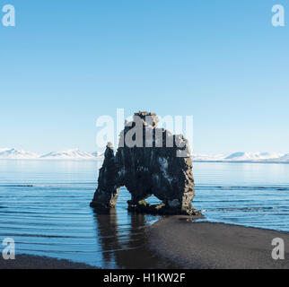 Hvitserkur, Elephant Rock on lava beach, natural basalt rock formation, Northwestern Region, Iceland Stock Photo