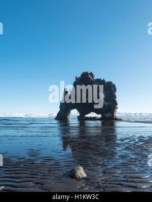 Hvitserkur, Elephant Rock on lava beach, natural basalt rock formation, Northwestern Region, Iceland Stock Photo