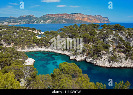 Calanque de Port Pin in front of Soubeyranes cliffs, Cassis, Calanques National Park, Provence, France Stock Photo