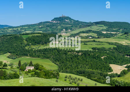 Typical green Tuscan landscape with hills, trees, grain fields, farms and blue sky, Celle sul Rigo, Tuscany, Italy Stock Photo