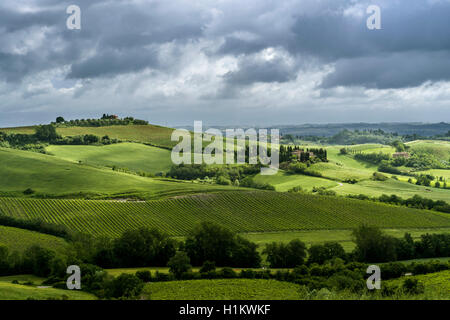 Typical green Tuscan landscape in Val d’Orcia with hills, fields, trees, wineyards, olive plantations and cloudy sky Stock Photo