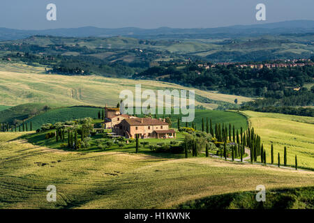 Typical green Tuscan landscape in Val d’Orcia with farm on hill, fields, cypresses and blue sky, Trequanda, Tuscany, Italy Stock Photo