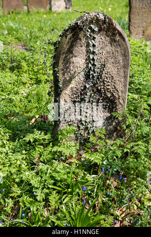 Old gravestones, weather worn in an overgrown graveyard. Stock Photo