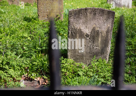 Old gravestones, weather worn in an overgrown graveyard. Stock Photo