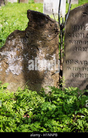 Old gravestones, weather worn in an overgrown graveyard. Stock Photo