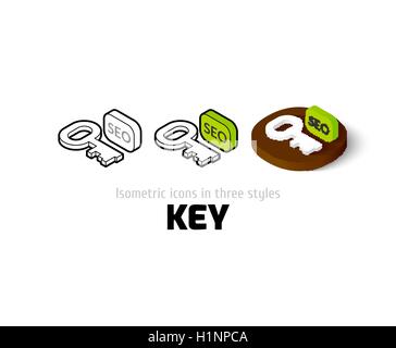 Key icon in different style Stock Vector
