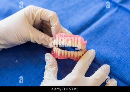Complete dentures. Stock Photo