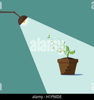 Young sprout and lamp with ray of light, life need the light concept Stock Vector