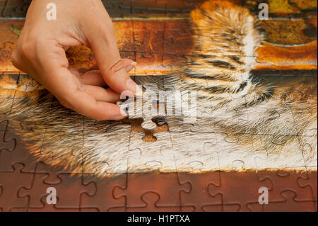 woman hand completing a jigsaw puzzle Stock Photo