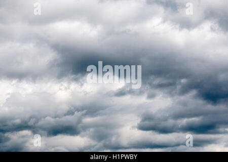 dark thick clouds on the summer sky Stock Photo