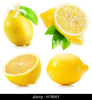 collection of lemons isolated on the white background. Stock Photo