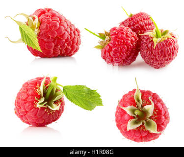 collection of raspberries isolated on the white background. Stock Photo