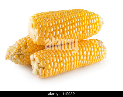fresh corn isolated on the white background. Stock Photo