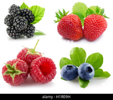 collection of berries isolated on the white background. Stock Photo