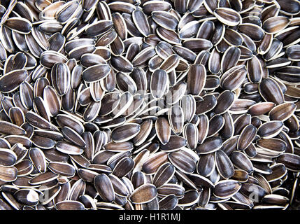sunflower seeds a lot as background Stock Photo
