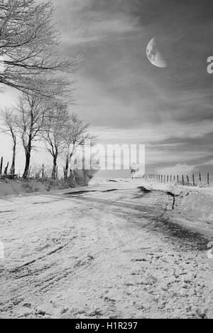 snowy street in the night with moonlight Stock Photo